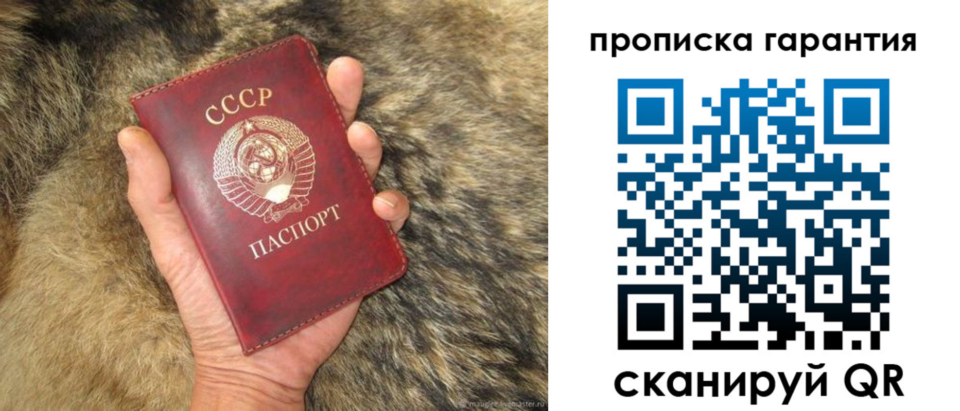 временная регистрация гарантия в Рязани